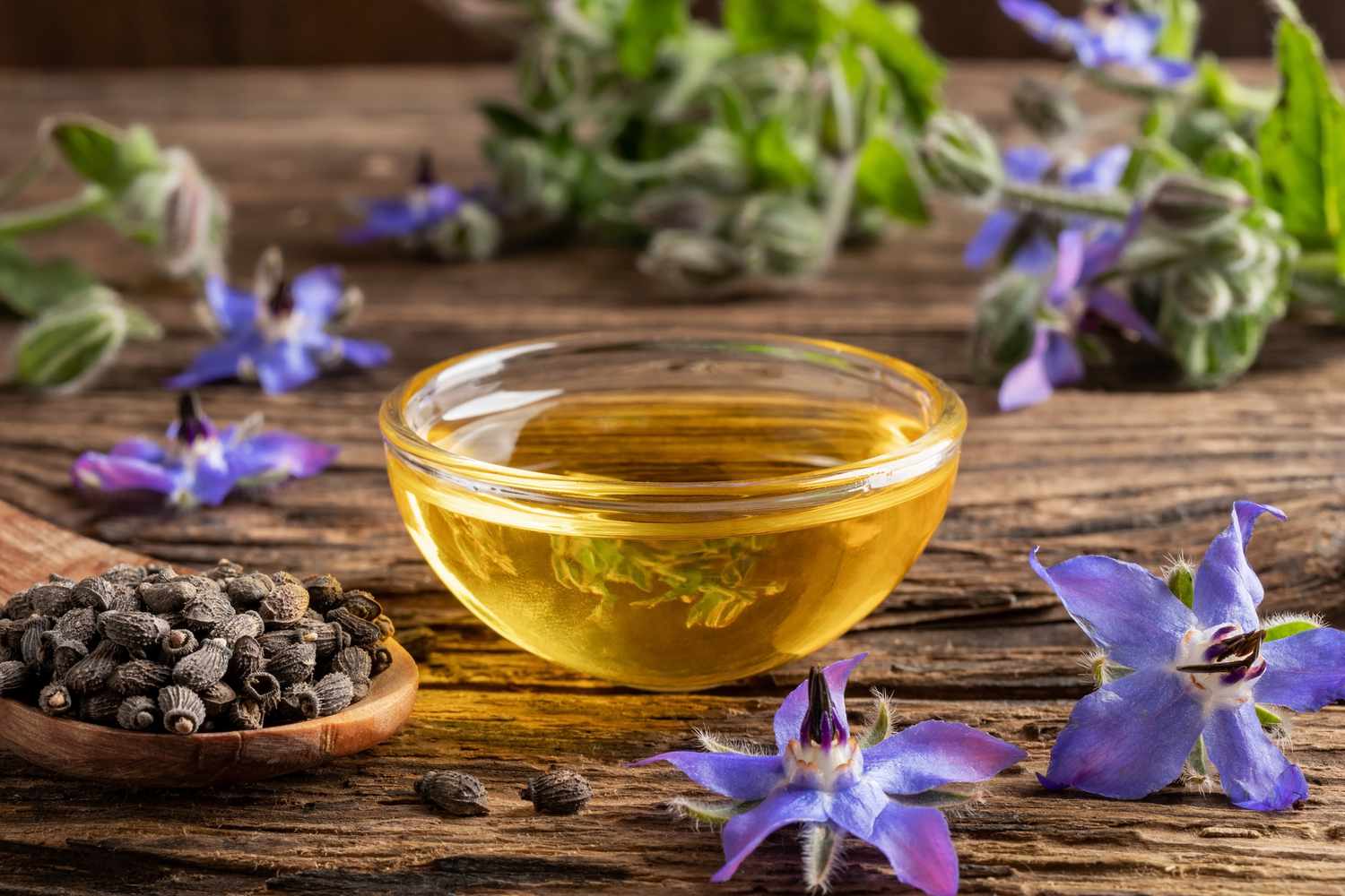 خواص گل گاوزبان برای اعصاب، خواب و سرماخوردگی + هشدارهای مهم کبدی