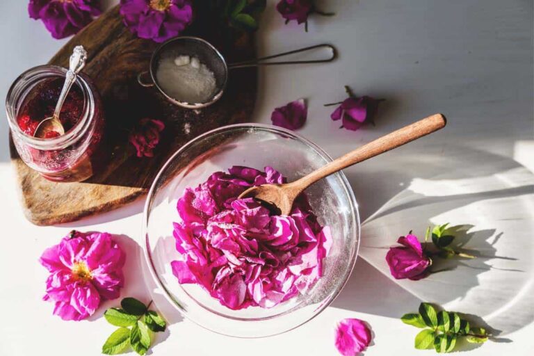 غنچه‌های خشک شده گل محمدی با رنگ صورتی ملایم که برای تهیه دمنوش و بهره‌مندی از خواص گل محمدی استفاده می‌شود