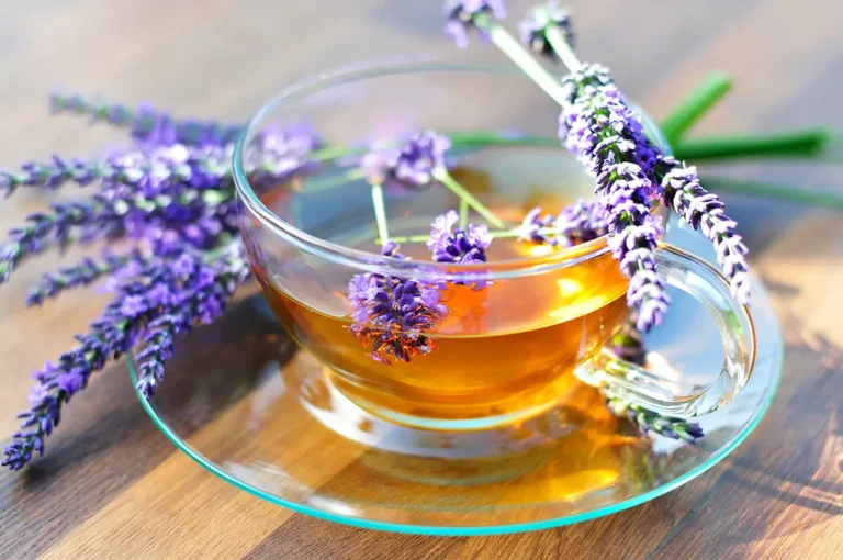 یک فنجان دمنوش اسطوخودوس داغ در کنار گل‌های خشک شده آن، آماده برای نوشیدن