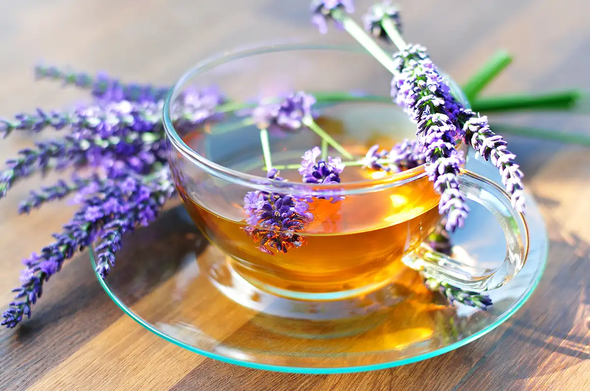 راهنمای جامع مصرف اسطوخودوس: دمنوش، روغن، و کپسول