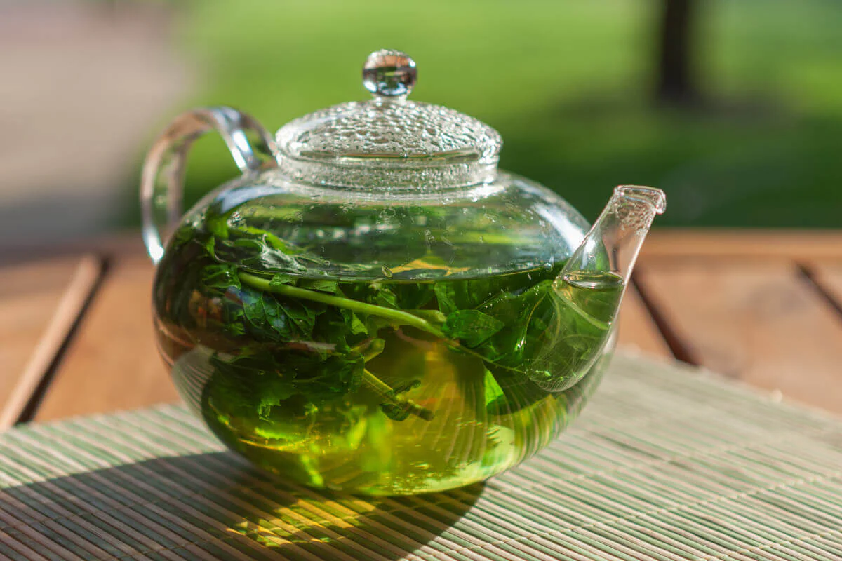 بادرنجبویه: گیاه دارویی محبوب ابوعلی سینا برای آرامش اعصاب و تقویت حافظه