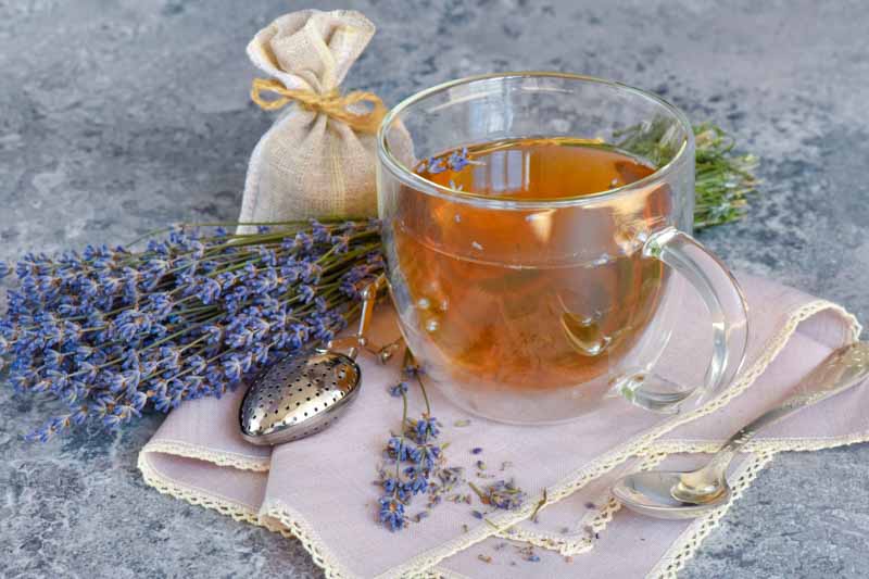 تصویری از یک فنجان دمنوش لاوندر