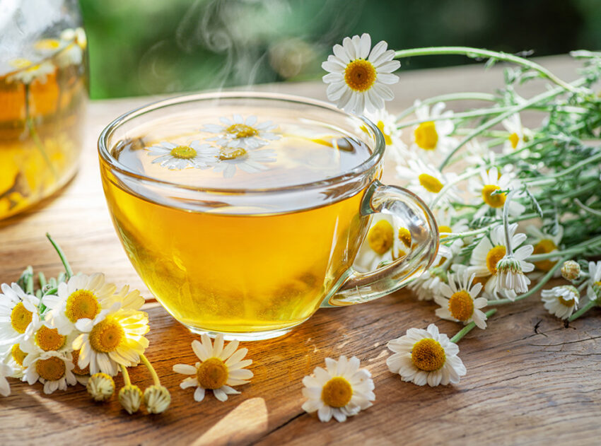 تصویری از دمنوش بابونه با تعدادی گل بابونه