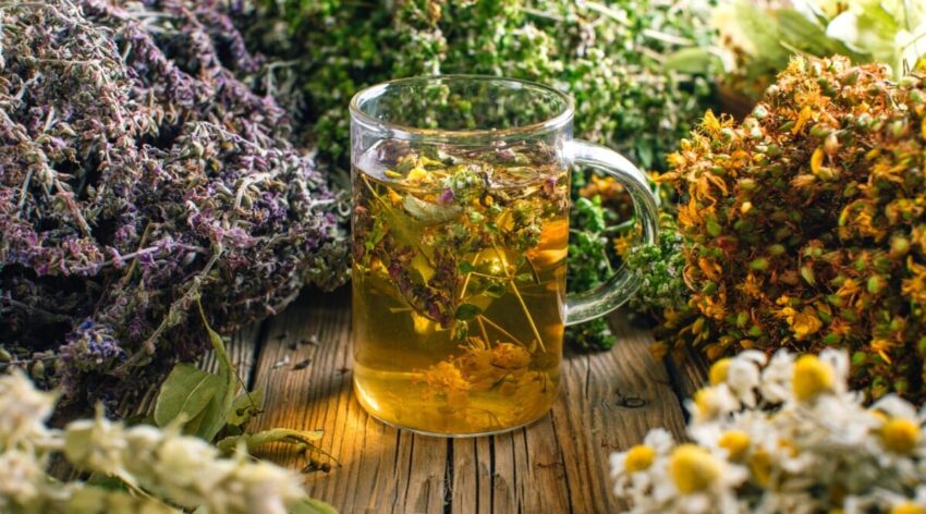 تصویری از چندین گیاه دارویی و یک فنجان دمنوش