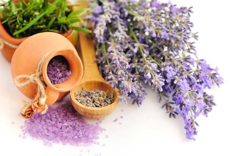 تصویری از گیاه لاوندر و نمک بنفش رنگ