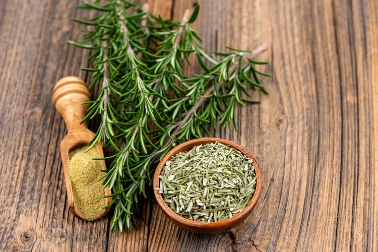 رزماری چیست و چه خواصی دارد؟ بررسی کامل گیاه رزماری (اکلیل کوهی)