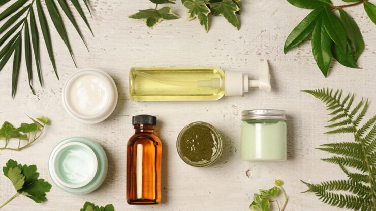 یک لیوان عرق کاسنی و شاتره در کنار گیاهان تازه آن‌ها برای پاکسازی کبد و درمان جوش