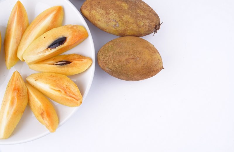 تصویری از میوه چیکو که یکی از غنی ترین میوه های جهان است