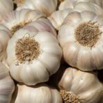 راهنمای کامل خواص، مضرات و اسرار درمانی گیاه سیر از نگاه علم و طب سنتی