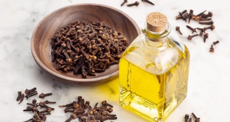 روغن میخک در یک شیشه کوچک که حاوی اوژنول است و برای تسکین درد و مصارف موضعی کاربرد دارد